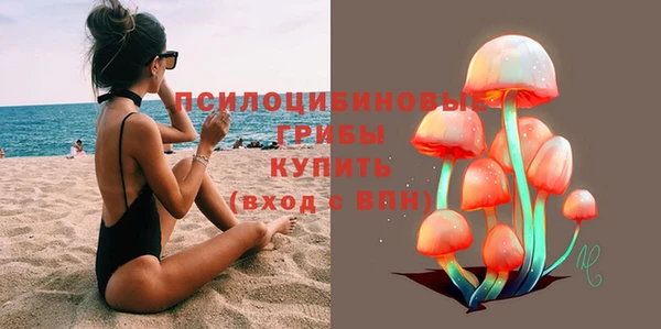 прущие грибы Алексеевка