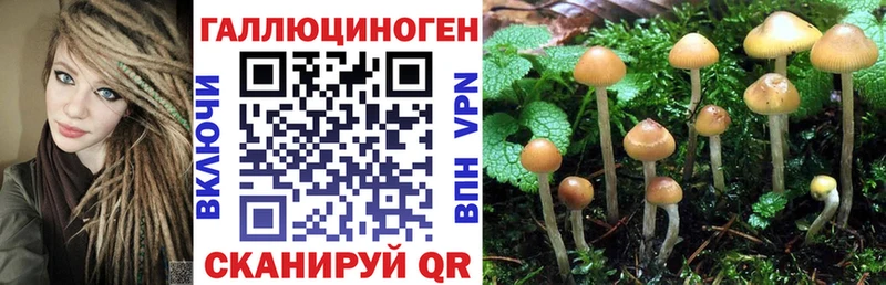 Галлюциногенные грибы Magic Shrooms Кириши